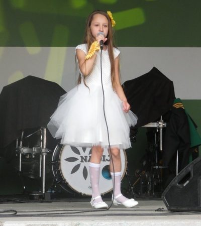 Świdnicka Kultura
